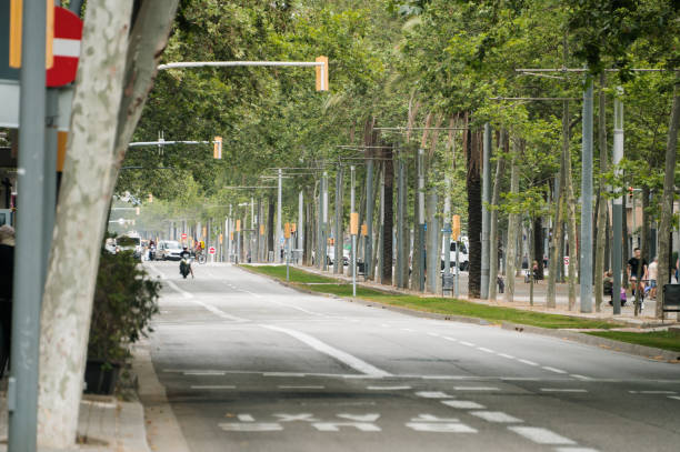 istock City street with trees 1408390636