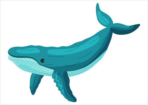 Cartoon cute blue whale isolated on white background. Wild animal character icon. Vector illustration