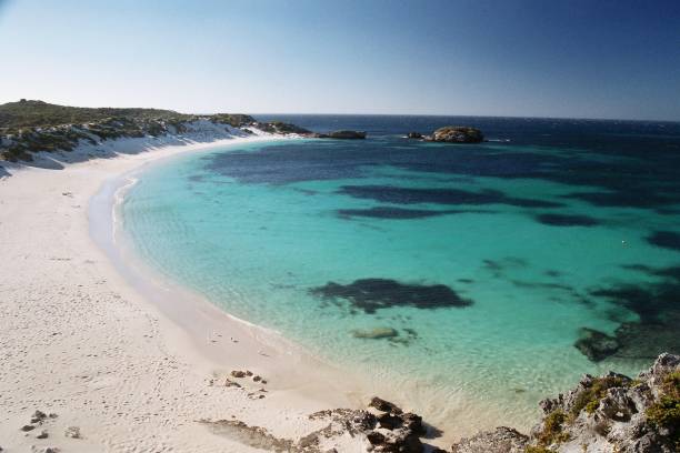 istock Rottnest beach on clear summers day 1408395205