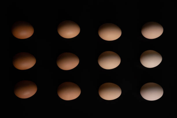 Eggs of different shades lie in rows on a black background
