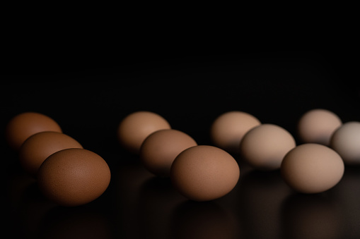 Eggs of different shades of brown lie in rows, frontal view