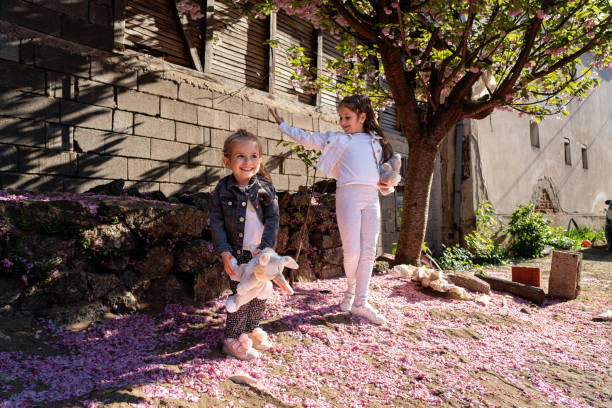 istock Sisters playing under tree in blossom, while flower petals falling down 1408402159