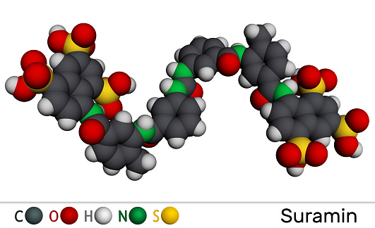 Suramin drug molecule. It is used to treat African sleeping sickness and river blindness. Molecular model. 3D rendering
