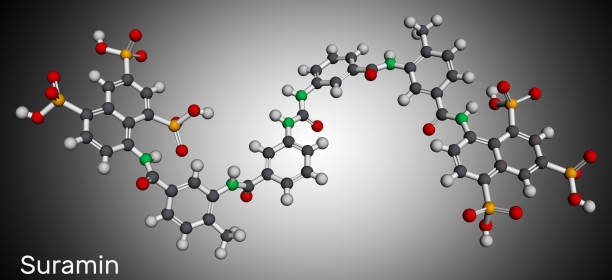 ilustrações, clipart, desenhos animados e ícones de molécula de droga de suino. é usado para tratar a doença do sono africana e a cegueira do rio. modelo molecular. - oncocercíase