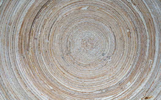 Macro shot of Wood texture