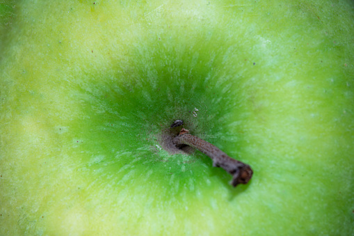 Macro shot of apple fruit