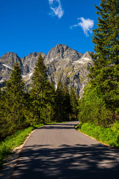 mountains peaks in tatra national park at summer in poland. alpine landscape and blue sky - ridge mountain wilderness area poland imagens e fotografias de stock