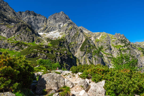 alpine landscape in tatra mountains in poland at summer season - ridge mountain wilderness area poland imagens e fotografias de stock