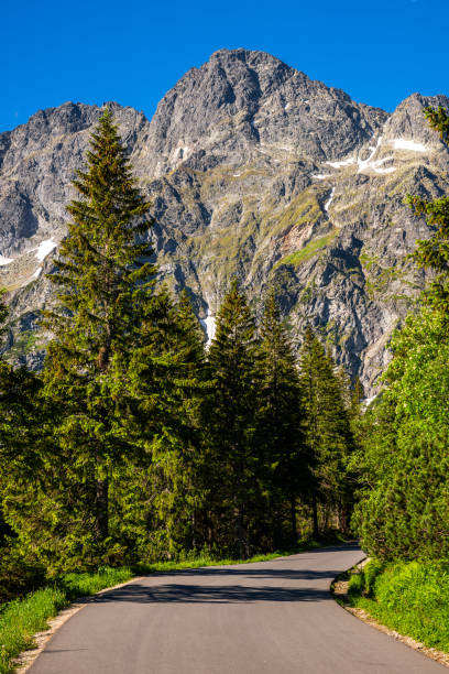 alpine landscape in tatra mountains in poland at summer season - ridge mountain wilderness area poland imagens e fotografias de stock