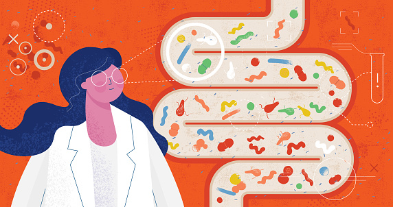 Flat vector illustration with hand drawn texture showing the doctor/scientist/laboratory assistant and human gut overwhelmed with so called bad intestinal bacteria.