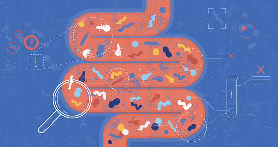 Flat vector illustration with hand drawn texture showing the human gut overwhelmed with so called bad intestinal bacteria.