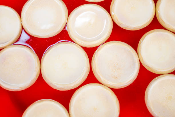 istock Architockes in water bucket 1408414757