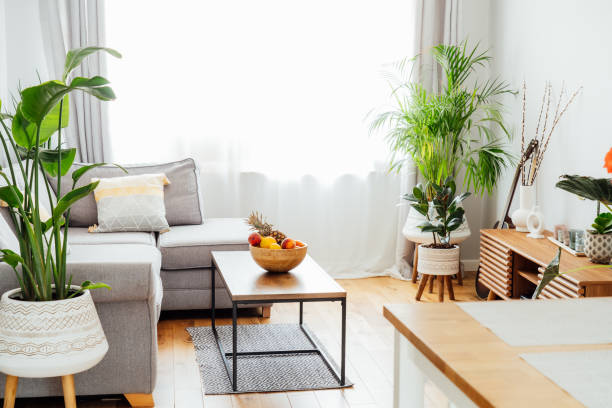 elegante y moderno interior escandinavo de sala de estar de espacio abierto con tazón de bambú con frutas en la mesa de café, sofá gris, cojines y muchas plantas verdes. diseño de interiores para el hogar en espacios abiertos - loft apartment living room sofa vehicle interior fotografías e imágenes de stock