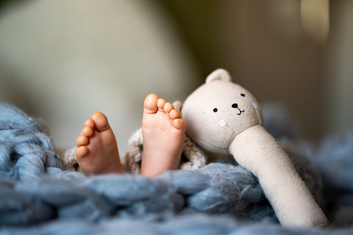 Feet of newborn baby on warm blanket whit stuffed toy