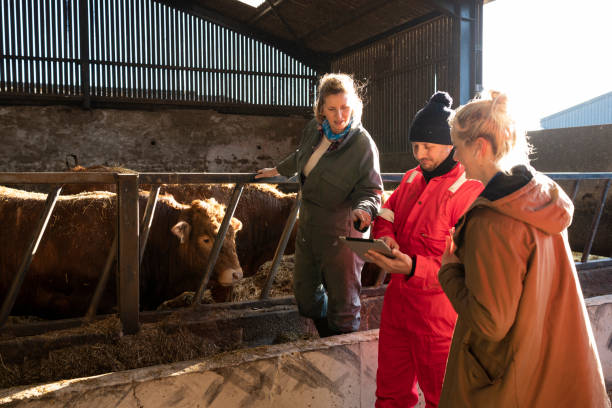 istock Experienced Team on the Farm 1408427417