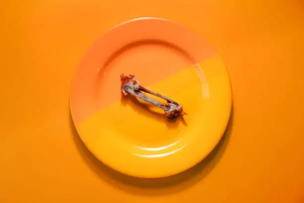 Chicken bones on a plate, top view. Gnawed bones, diet, weight loss concept. Bright orange background.