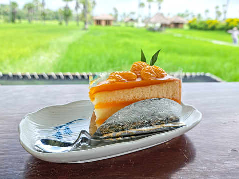 piece of sweet orange cake in plate. delicious slice bake on wodden table. beauty green paddy rice leaves background.