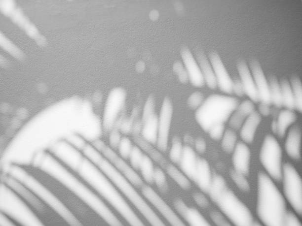 istock Shdow palm leaf minimalism backdrop background for mock up 1408430737