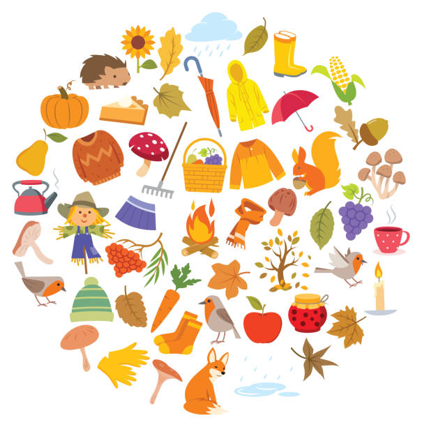 ilustraciones, imágenes clip art, dibujos animados e iconos de stock de tarjeta creativa hello autumn con elementos en forma de círculo. fondo otoñal - macintosh apple