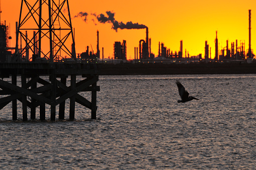 Oil refinery and chemical industrial plants on the Texas, USA coast with seabirds at sunset.
