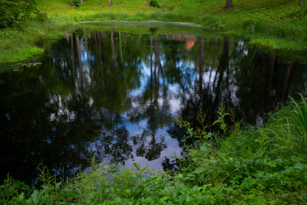 Spring Park. Lake in the spring park. Spring landscape.