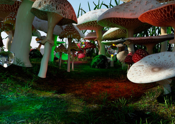 istock 3D Rendering Fairy Tale Mushrooms 1408438389