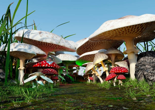 istock 3D Rendering Fairy Tale Mushrooms 1408438445