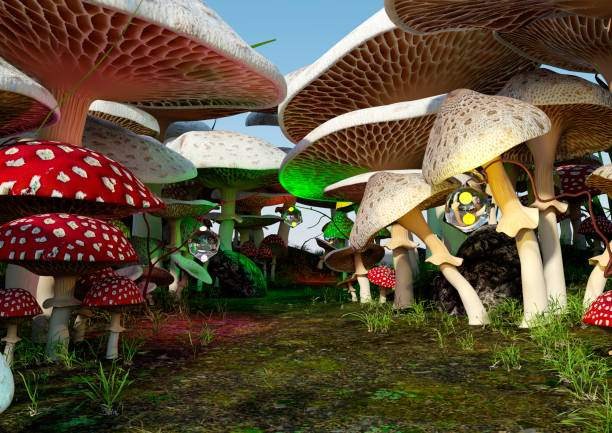 istock 3D Rendering Fairy Tale Mushrooms 1408438587