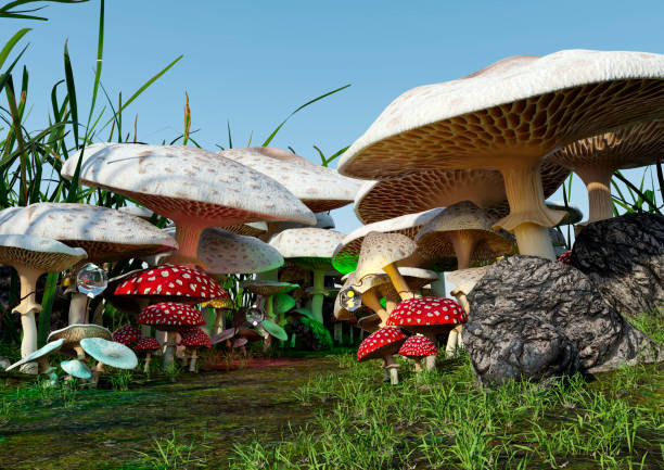 istock 3D Rendering Fairy Tale Mushrooms 1408438647