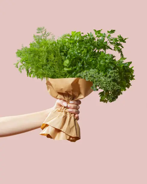 Hand holding fresh vegetable and herbs  bouquet
