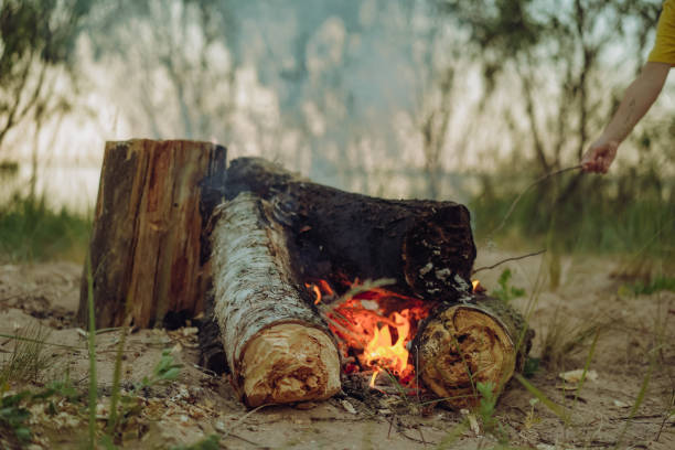 istock burning logs of wood in campfire 1408447270