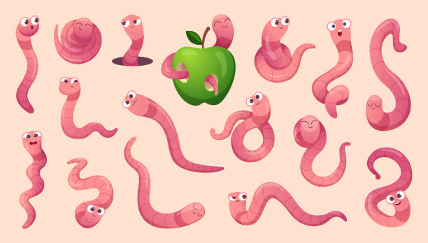 robaki z kreskówek. pełzające roboty i robaki z uśmiechniętymi twarzami dokładna kolekcja robaków wektorowych - fishing worm stock illustrations