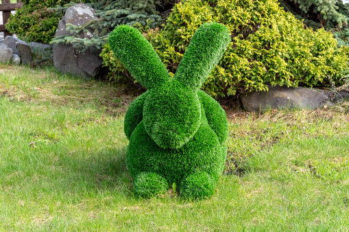 the figure of a rabbit made of artificial grass. garden decoration. Selective focus