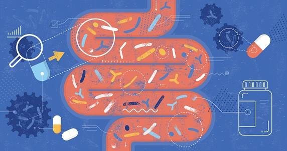 Abstract vector illustration depicting human gut and probiotics supplements concept.