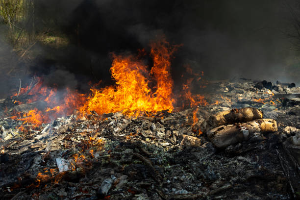 istock Fire and black smoke. Fire in landfill. Smoke in forest. Illegal landfill. 1408453632