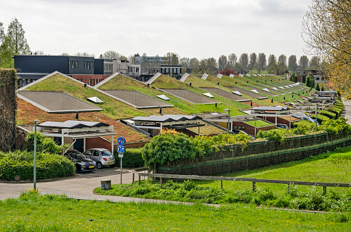 Dordrecht, The Netherlands, April 15, 2022: row of modern patio houses with vegetated roofs and solar panels