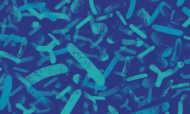 illustrations, cliparts, dessins animés et icônes de probiotiques bactéries vivantes contexte - micro organisme
