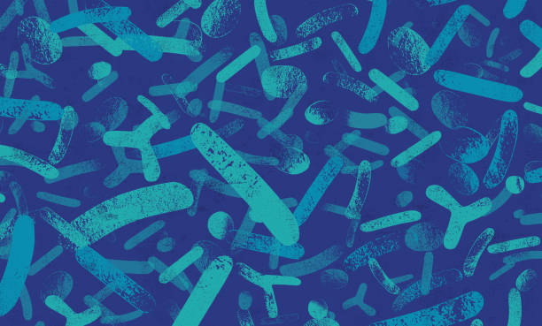 stockillustraties, clipart, cartoons en iconen met probiotics live bacteria background - bacterie