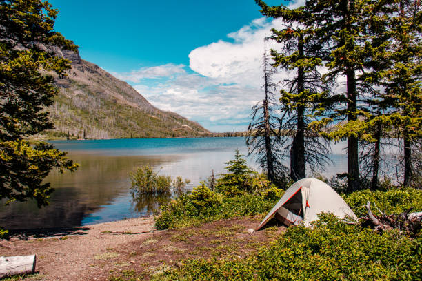 mountain lake zelt - montana summer usa color image stock-fotos und bilder