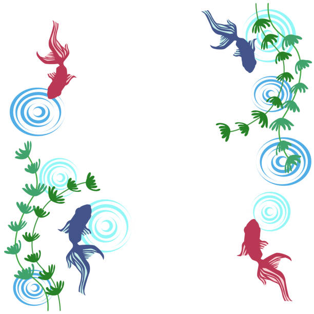 illustrazioni stock, clip art, cartoni animati e icone di tendenza di pesce rosso e materiale di sfondo increspato - nature ripple summer plant