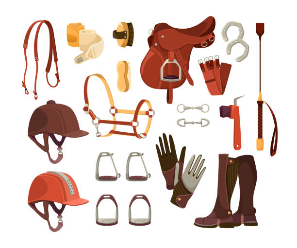 Equestrian sport accessories cartoon illustration set Equestrian sport accessories cartoon illustration set. Equipment for horse riding, helmet, brushes, tack, gloves, girth, uniform and saddle. Competition, race concept saddle stock illustrations