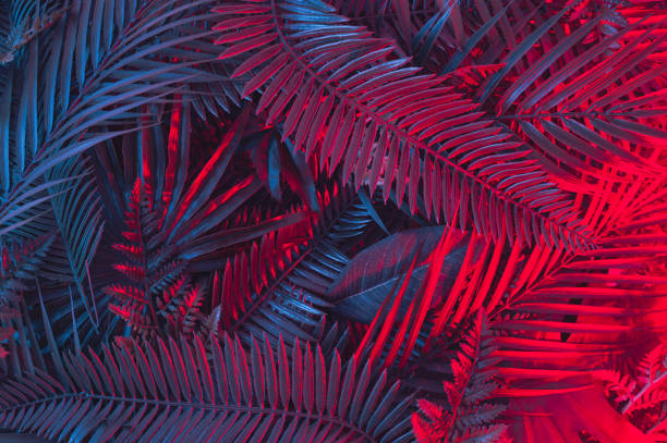 istock Tropical neon palm leaves in vibrant gradient colors 1408476051
