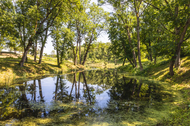 istock Uzutrakis manor gardens landscape. Manor park pond 1408480941