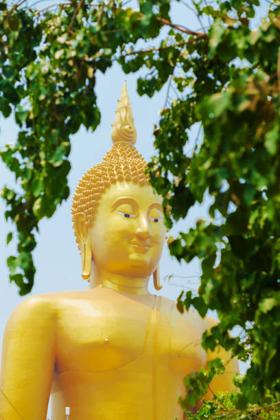 Giant golden thai buddha statue and landmark behind trees at Wat Muang in Ang Thong with national landmark 96m high Buddha statue of Thailand  in public free ground outside of city