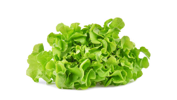 istock Fresh green lettuce isolated on white 1408489175