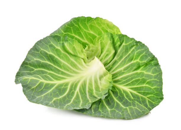 istock Green cabbage leaves isolated on white 1408489253
