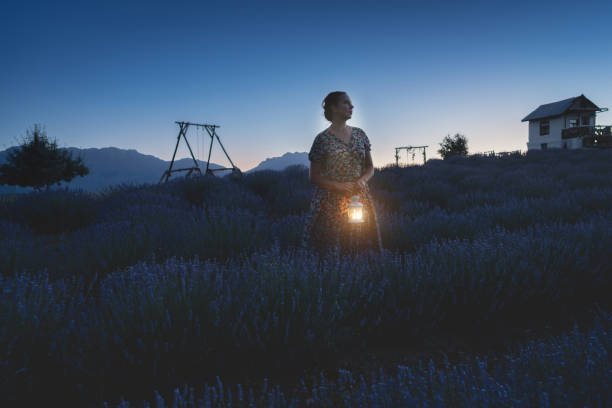 Free Stock Photo of Woman Holding Lantern in Field | Download Free ...