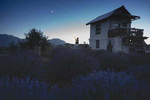 Women watching the moon next to wooden hut in Lavender field with lantern in hand.