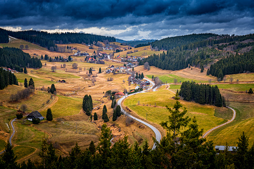 winding road at black forest