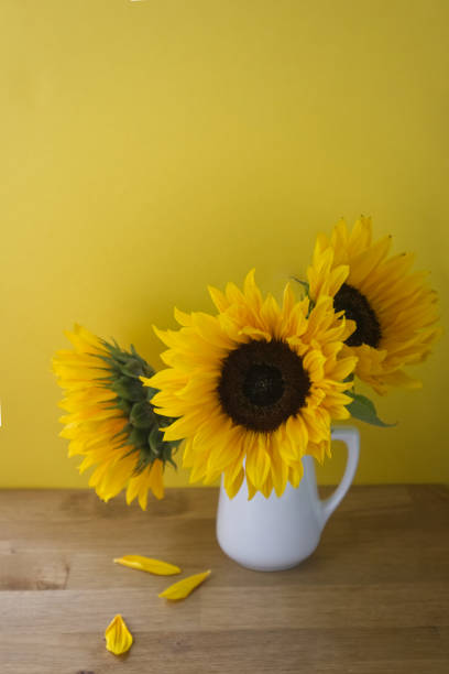 Vibrant yellow-orange marigold flowers in a small rustic metal bucket placed on a wooden surface with a colorful, soft-focus green garden background. Ideal for nature and floral themes.